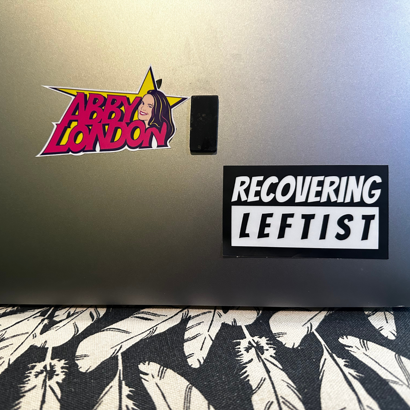 Recovering Leftist Sticker